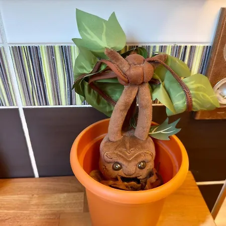 La Maison Des Apprentis Sorciers Sejour Enchanteur