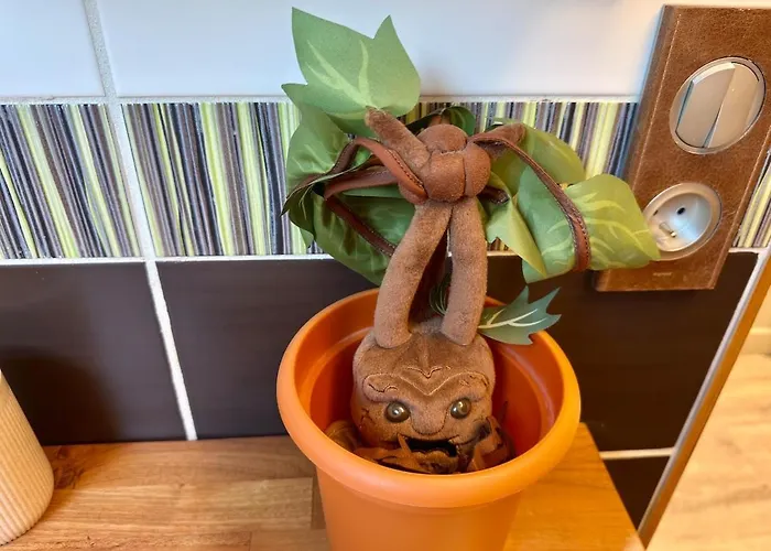 La Maison Des Apprentis Sorciers Sejour Enchanteur